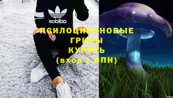 сатива Алексин