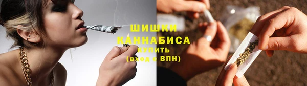 прущие грибы Абдулино