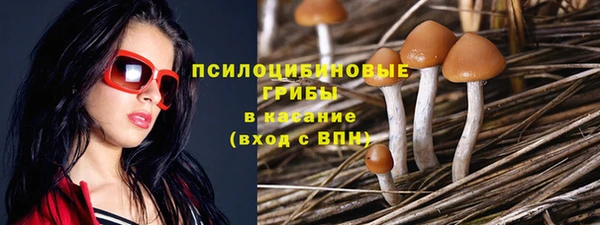прущие грибы Абдулино