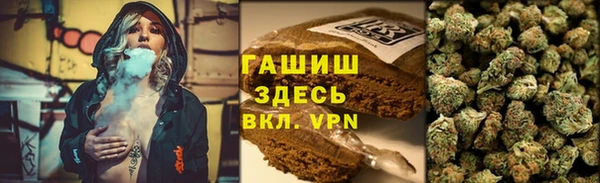 прущие грибы Абдулино