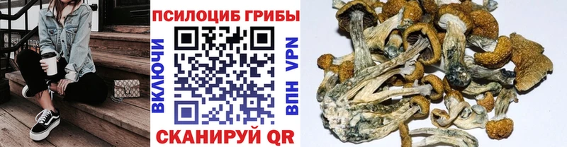 Псилоцибиновые грибы мицелий  ОМГ ОМГ зеркало  Южно-Сухокумск  сайты даркнета клад  хочу наркоту 